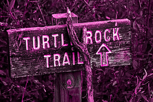 Wooden Turtle Rock Trail Sign (Pink Tone Photo)