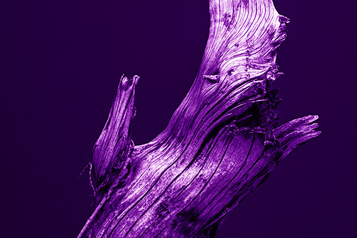 Angry Blood Stained Tree Trunk Creature Raising Fist (Purple Shade)