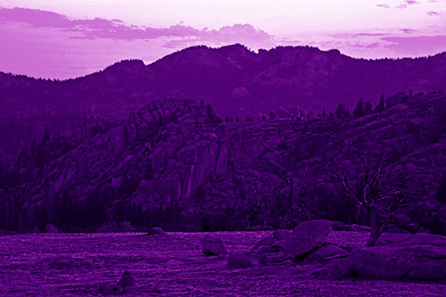 Arching Mountain Double Sunrise (Purple Shade Photo)