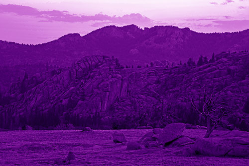 Arching Mountain Double Sunrise (Purple Shade Photo)