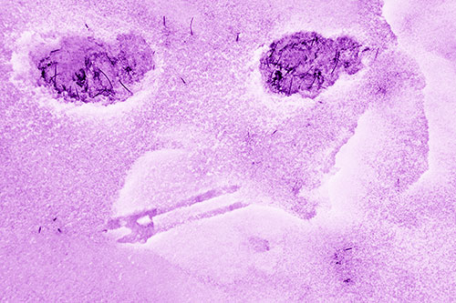 Beak Mouthed Footprint Face Among Snow (Purple Shade)