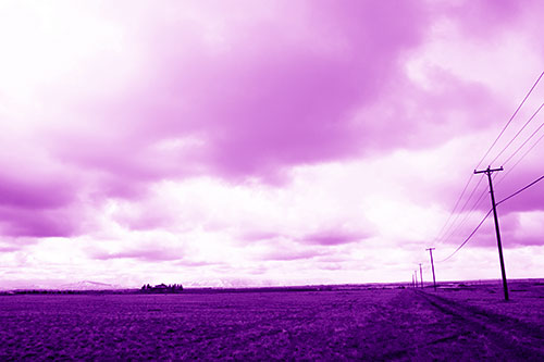 Bleak Clouded Sky Consumes Powerline Prairie (Purple Shade Photo)