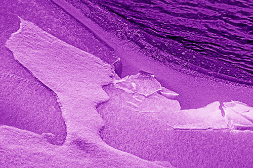 Broken Cracked Ice Along Shoreline (Purple Shade)