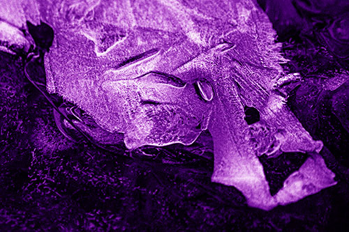 Bulging Icy Eyed Skull Head Frozen Atop River (Purple Shade)