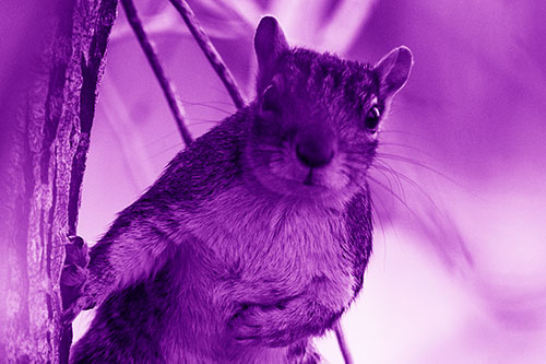 Chest Holding Squirrel Leans Against Tree (Purple Shade Photo)