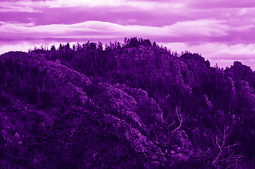 Cloudy Summit Trailhead Mountain Top (Purple Shade Photo)