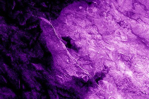 Cracking Demonic Ice Face Pig (Purple Shade Photo)