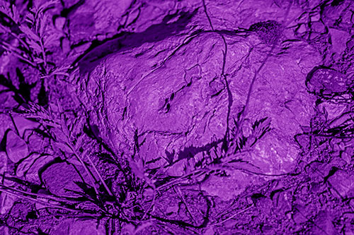 Demonic Leaf Mouthed Rock Face Snarling Among Dirt (Purple Shade)