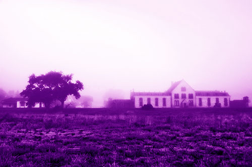 Departing Fog Reveals State Penitentiary (Purple Shade Photo)