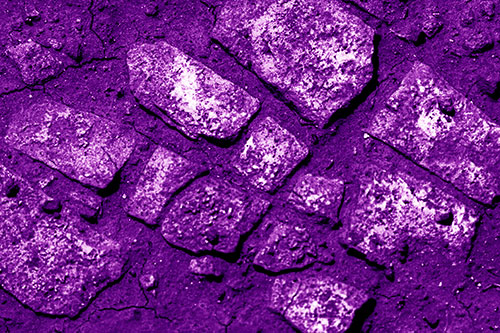 Dirt Covered Stepping Stones (Purple Shade Photo)