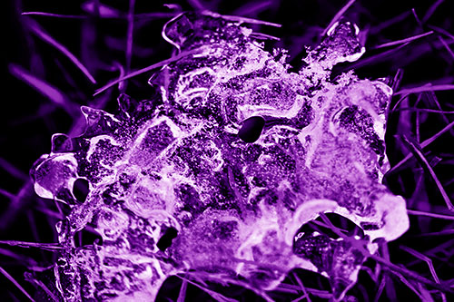 Dismayed Ice Dragon Face Frozen Among Piercing Grass Blades (Purple Shade)