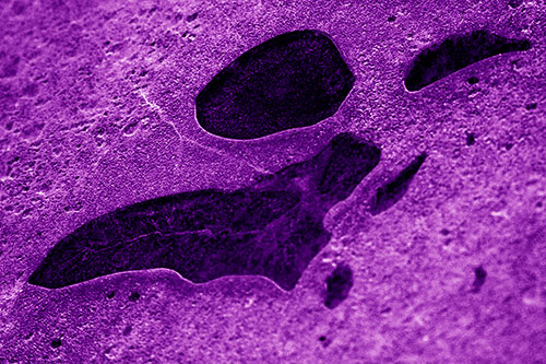Distorted Skull Face Within Frozen Ice (Purple Shade Photo)