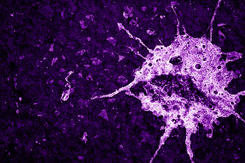 Distressed Bird Excrement Face Splattered Among Pavement (Purple Shade)