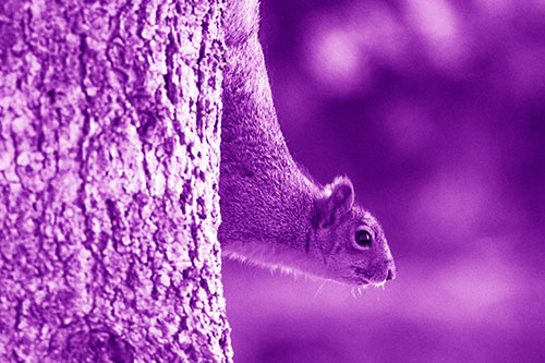 Downward Squirrel Yoga Tree Trunk (Purple Shade Photo)