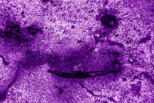 Evil Eyed Concrete Face Evaporating (Purple Shade Photo)