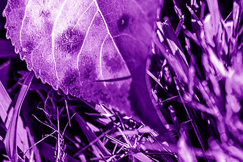Eye Winking Shadow Smirking Leaf Face (Purple Shade)