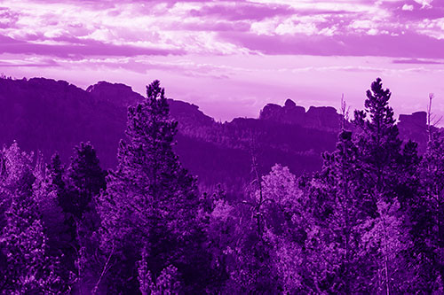 Fall Colors Emerge Infront Of Mountain Range (Purple Shade Photo)