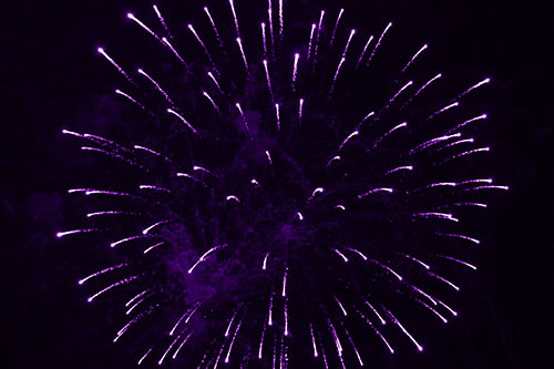 Firework Star Trails Vaporize Among Night Sky (Purple Shade Photo)