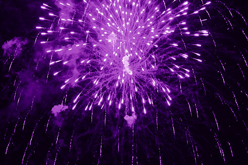 Fireworks Explosion Lights Night Sky Ablaze (Purple Shade Photo)