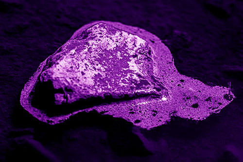 Floating Fungi Rock Emitting Water Bubbles (Purple Shade Photo)