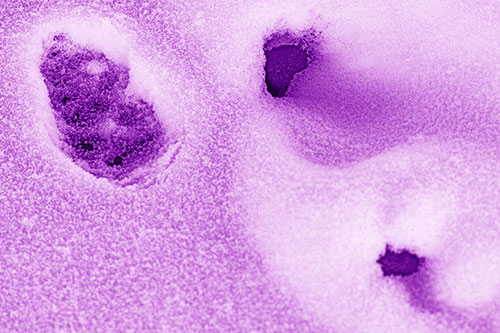Footprint Eye Snow Face Atop Rock Surface (Purple Shade)
