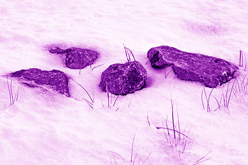 Four Big Rocks Buried In Snow (Purple Shade Photo)
