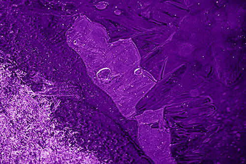 Frozen Bubble Eyed Ice Face Figure Along River Shoreline (Purple Shade Photo)