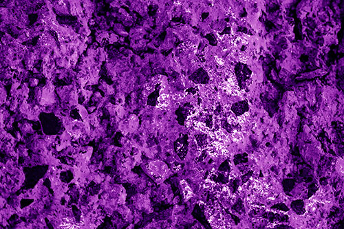 Fungi Covers Rugged Surfaced Stone (Purple Shade Photo)
