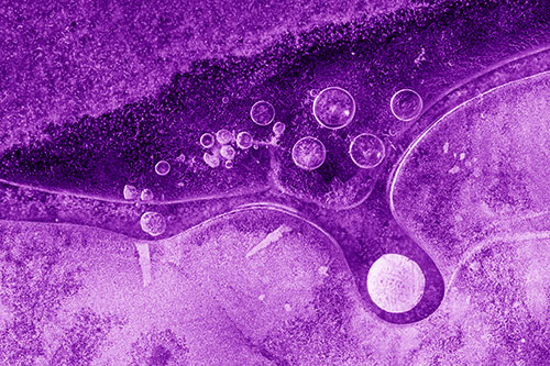 Ice Bubbles Among Frozen Soil Crevice (Purple Shade)