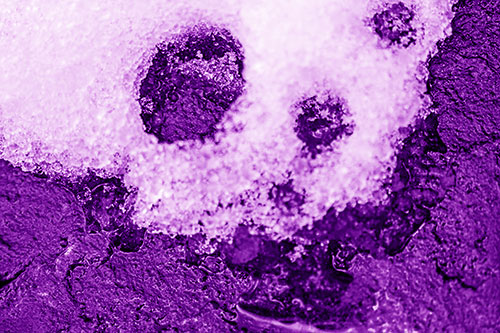 Ice Skull Snow Face Melting Atop Rock (Purple Shade)