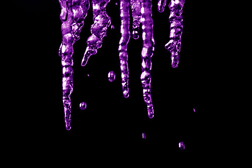 Jagged Melting Icicles Dripping Water (Purple Shade Photo)