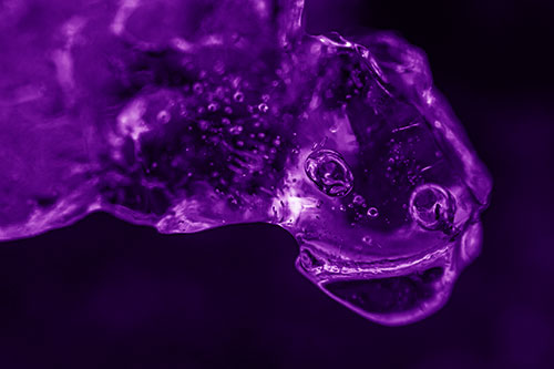 Joyful Frozen Bubble Eyed River Ice Face Creature (Purple Shade Photo)