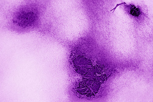 Joyful Soil Face Appears Beneath Melting Snow (Purple Shade)