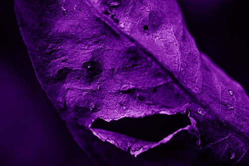 Lacerated Mouth Leaf Face Smirking Among Decay (Purple Shade)