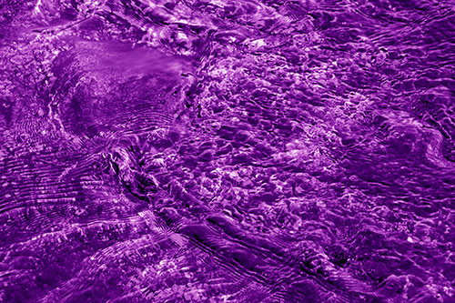 Large Algae Rock Creating River Water Ripples (Purple Shade Photo)