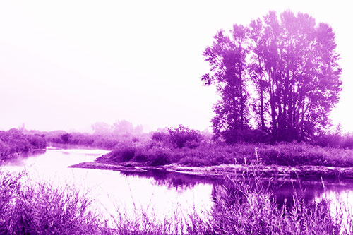 Large Foggy Trees At Edge Of River Bend (Purple Shade Photo)
