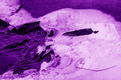 Mouth Melting River Ice Face Among Floating Branches (Purple Shade)