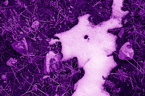 Peering Humanoid Snow Face Creature Among Rocks (Purple Shade Photo)
