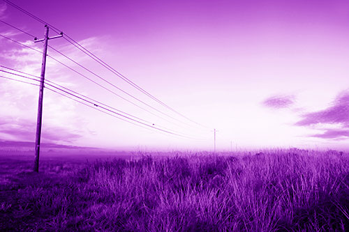 Powerlines Descend Among Foggy Prairie (Purple Shade Photo)