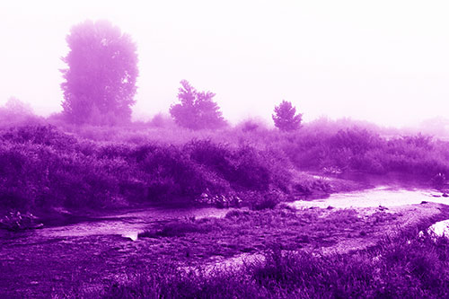River Flowing Along Foggy Vegetation (Purple Shade Photo)