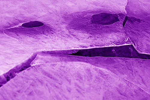 Rock Face Emerges Among Cracked Frozen Ice (Purple Shade)