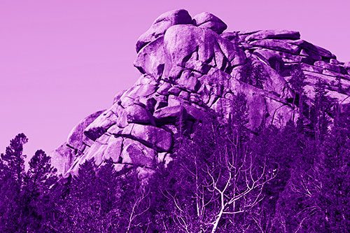 Rock Formations Rising Above Treeline (Purple Shade Photo)