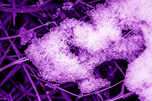 Sad Melting Grass Tangled Snow Face (Purple Shade)