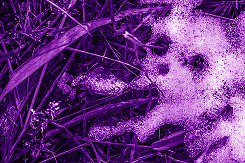 Sad Mouth Melting Ice Face Creature Among Soggy Grass (Purple Shade Photo)
