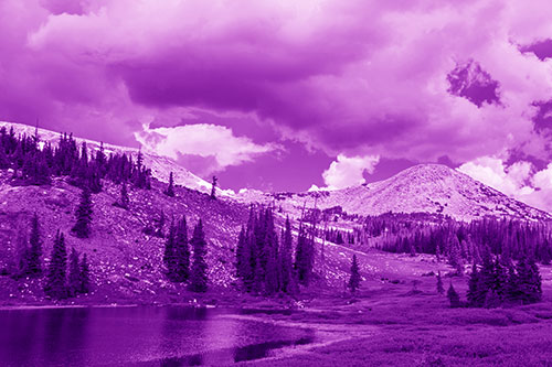 Scattered Trees Along Mountainside (Purple Shade)