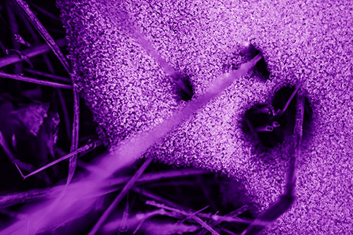 Screaming Illuminated Grass Piercing Snow Face (Purple Shade)