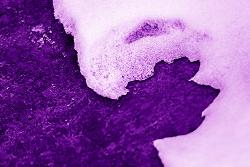 Screaming Snow Face Slowly Melting Atop Rock Surface (Purple Shade Photo)