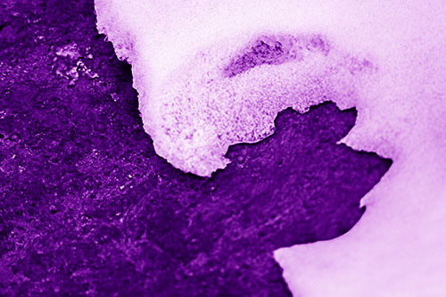 Screaming Snow Face Slowly Melting Atop Rock Surface (Purple Shade)