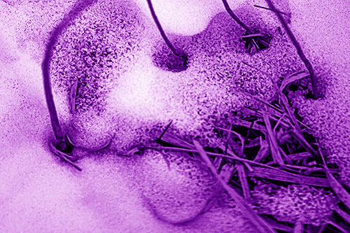 Screaming Twisted Grass Face Piercing Through Snow (Purple Shade)