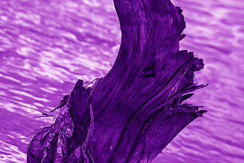 Seasick Faced Tree Log Among Flowing River (Purple Shade Photo)